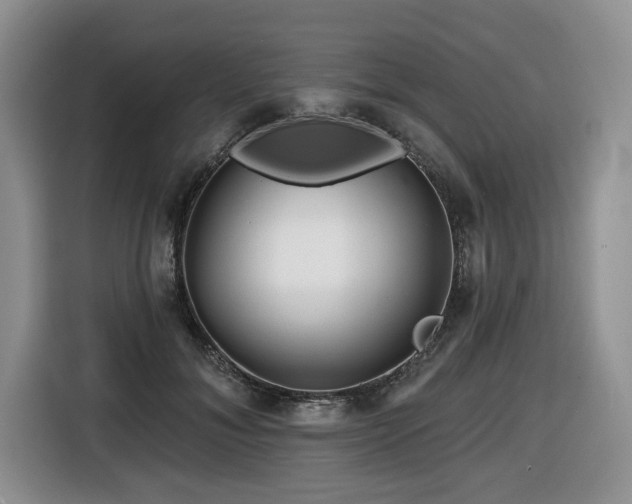 X0000116670700200912141341