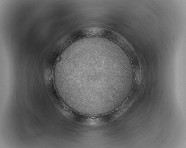 X0000116670701200912141341