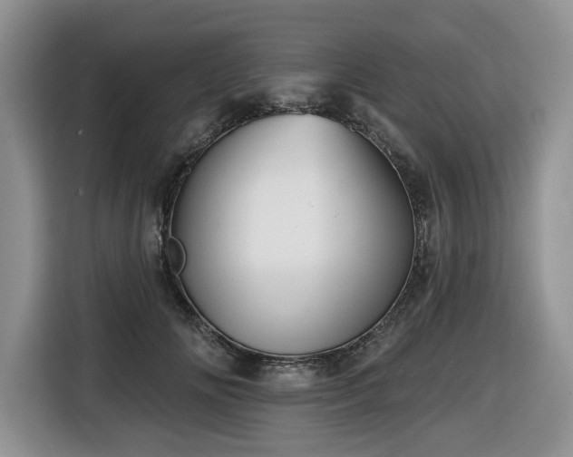 X0000116670702200912141341