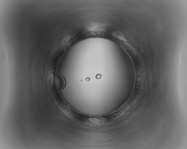 X0000116670703200912141341