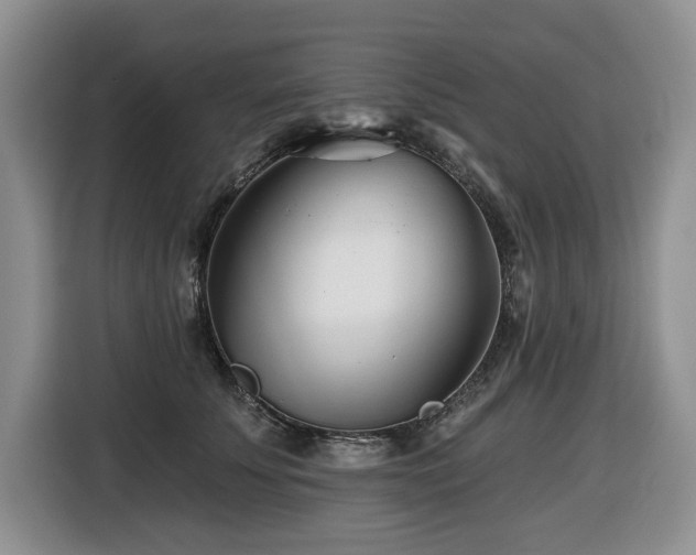 X0000116670707200912141341