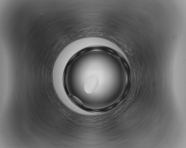 X0000116670709200912141340