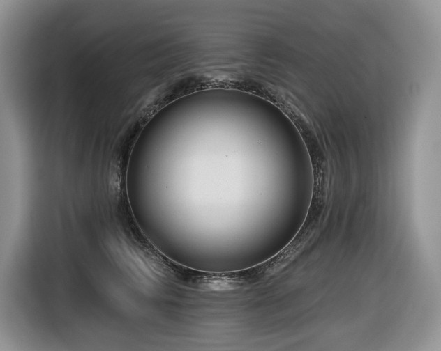 X0000116670710200912141340