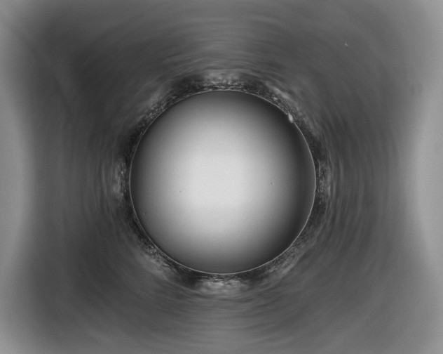 X0000116670712200912141340