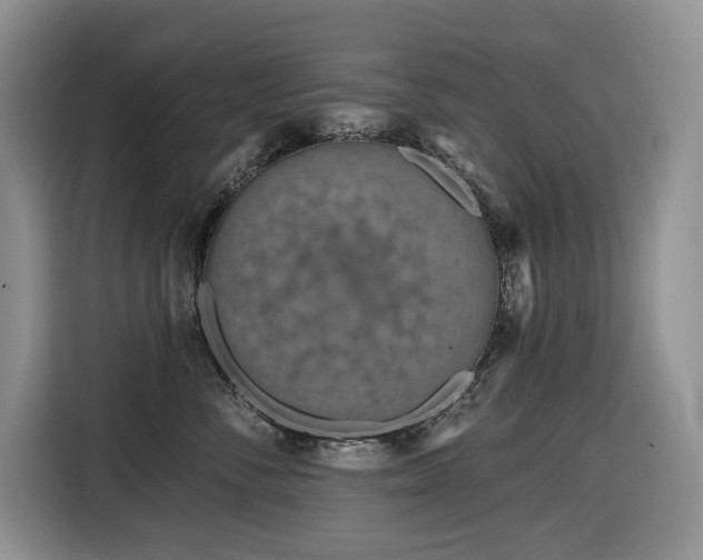 X0000116670716200912141340