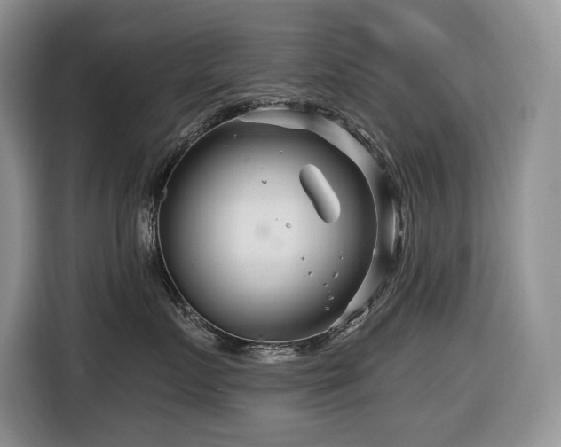 X0000116670719200912141340