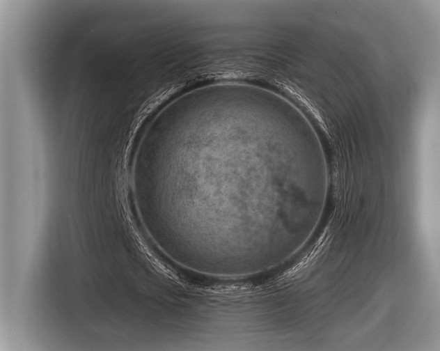 X0000116670721200912141340