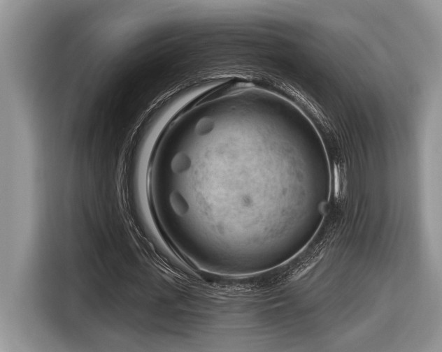 X0000116670723200912141340