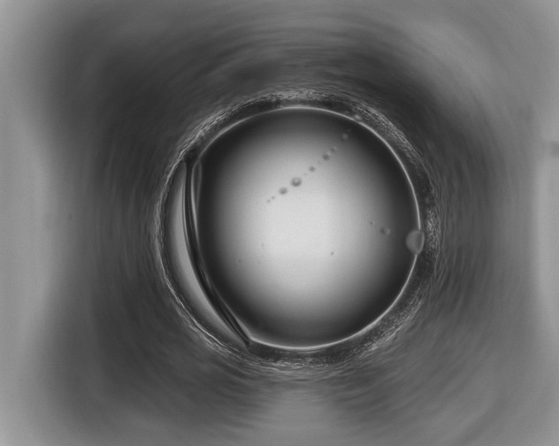 X0000116670725200912141340