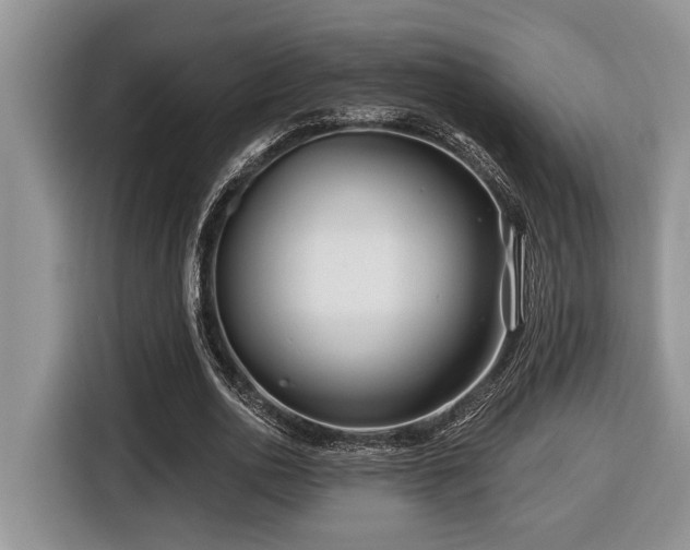 X0000116670726200912141340