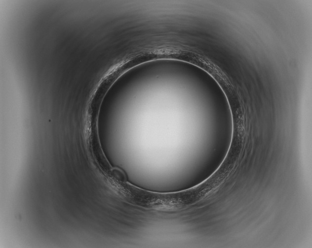 X0000116670727200912141340