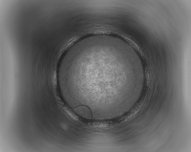 X0000116670729200912141340