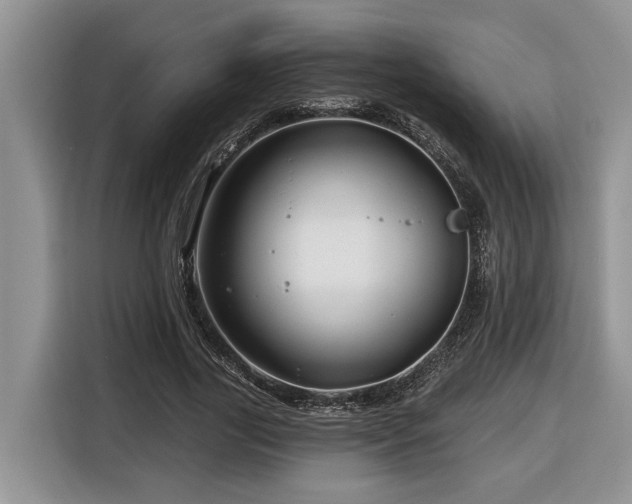 X0000116670731200912141340