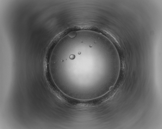 X0000116670733200912141340