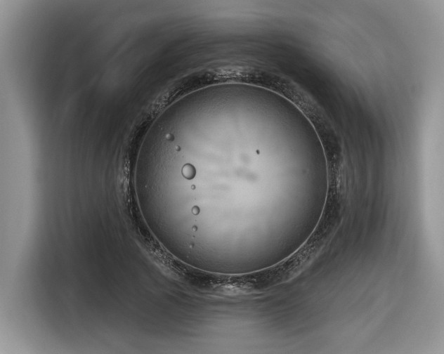 X0000116670737200912141340