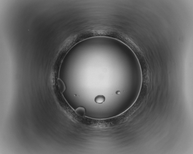 X0000116670738200912141340