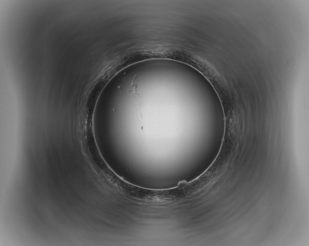 X0000116670739200912141340