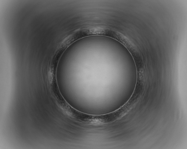 X0000116670741200912141340