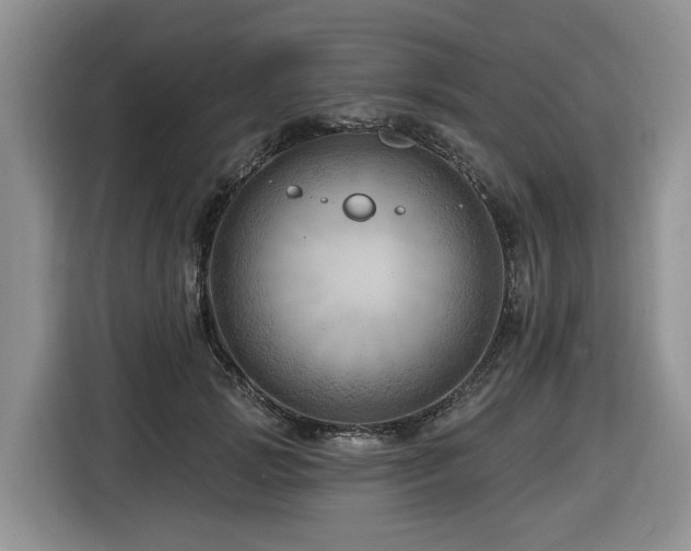 X0000116670749200912141340