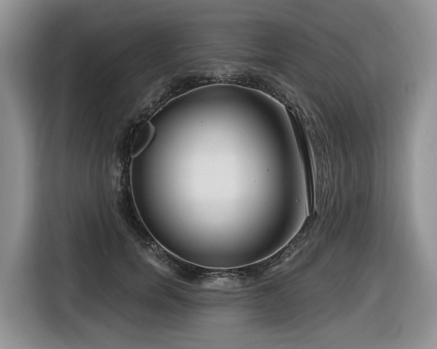 X0000116670750200912141340