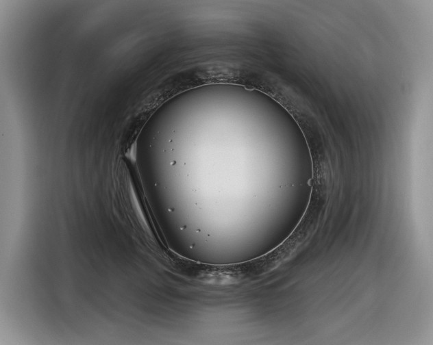 X0000116670751200912141340