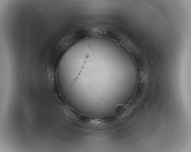 X0000116670753200912141340