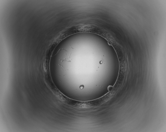 X0000116670755200912141340