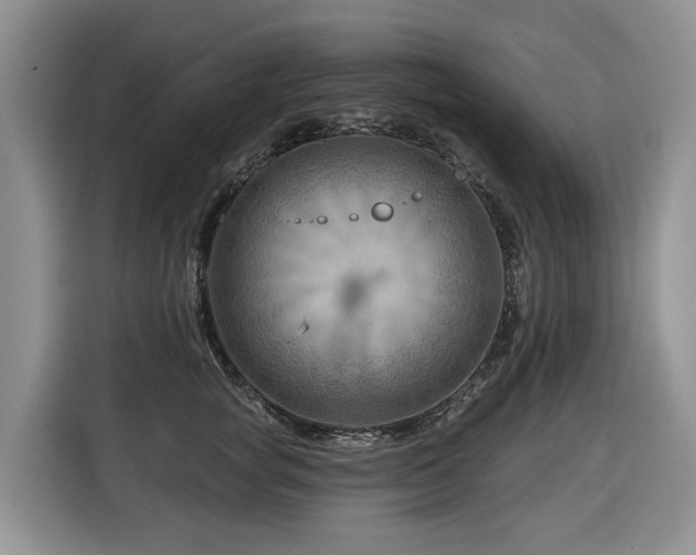 X0000116670757200912141340