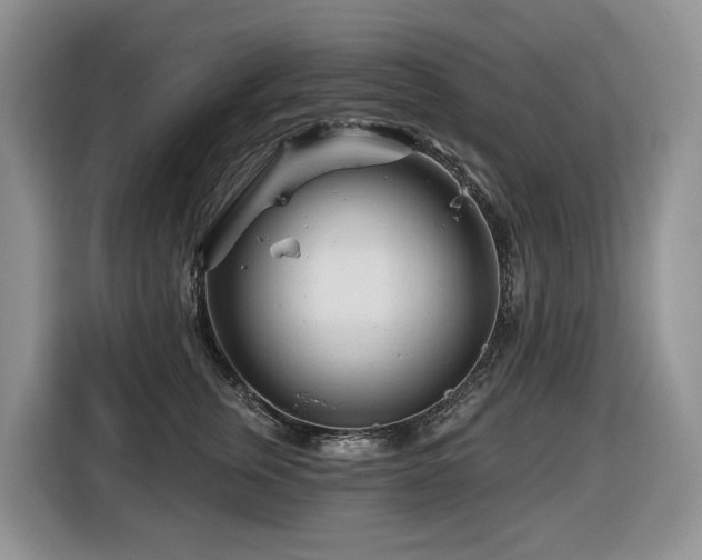 X0000116670759200912141340