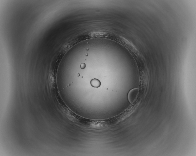 X0000116670761200912141340