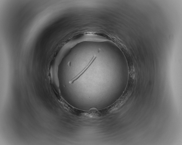 X0000116670763200912141340