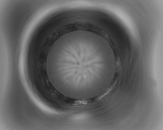 X0000116670765200912141340