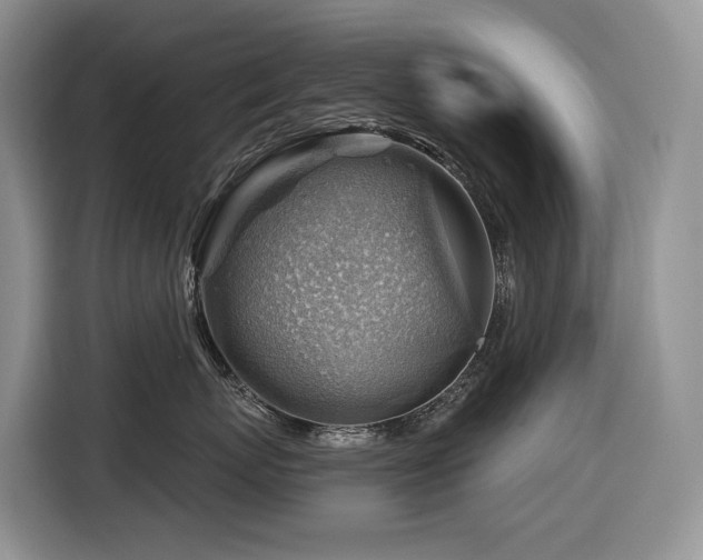 X0000116670767200912141340