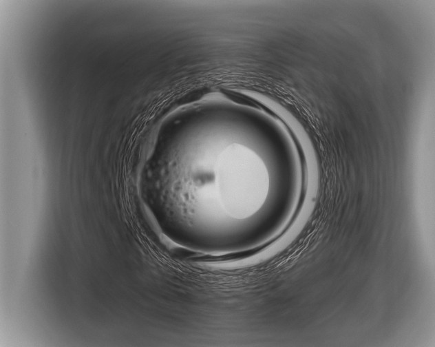 X0000116670769200912141340