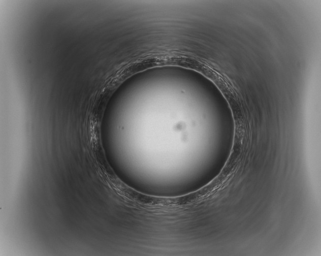 X0000116670770200912141340