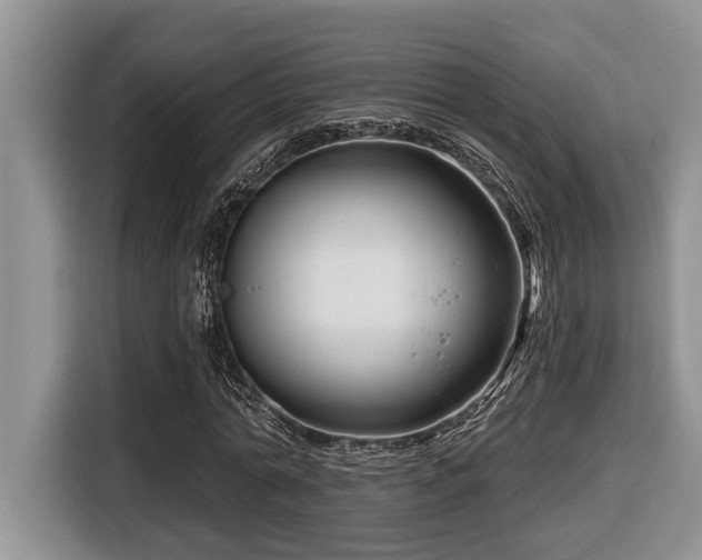 X0000116670774200912141340