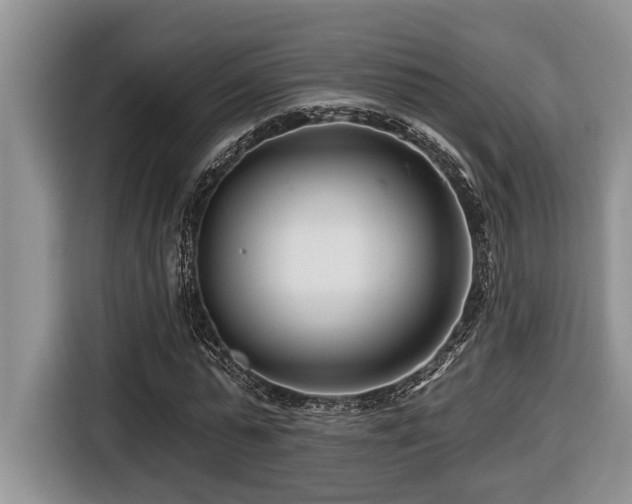 X0000116670775200912141340