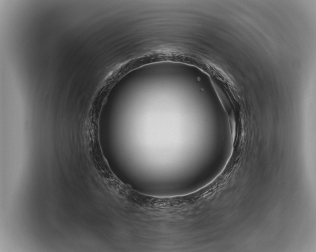 X0000116670776200912141340