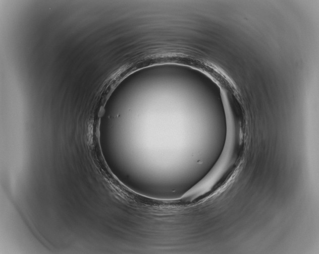 X0000116670777200912141340