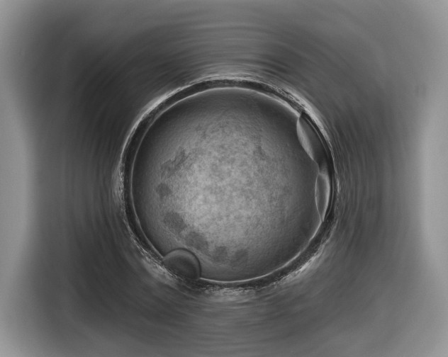 X0000116670779200912141340