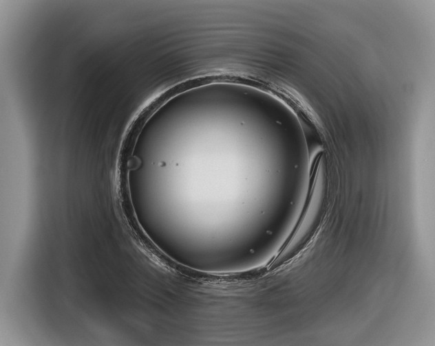 X0000116670780200912141340