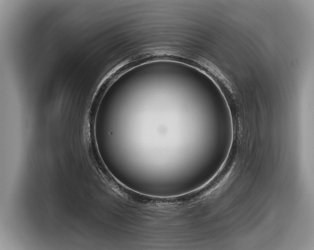 X0000116670782200912141340