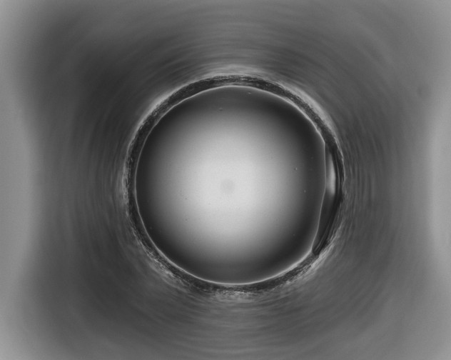 X0000116670783200912141340