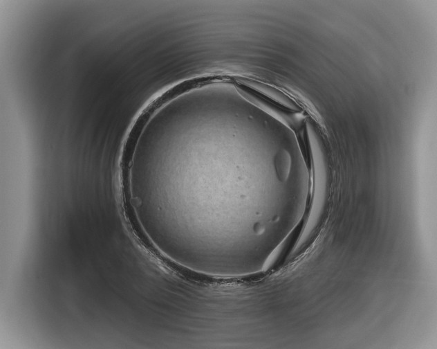 X0000116670784200912141339