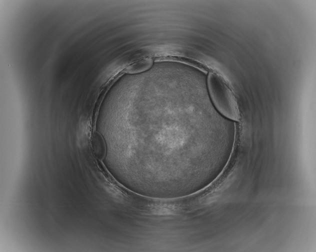 X0000116670785200912141339