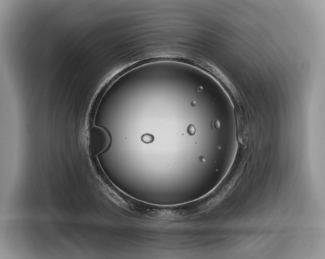 X0000116670787200912141339