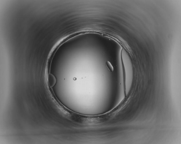 X0000116670796200912141339