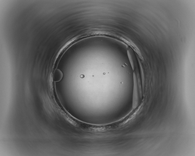 X0000116670798200912141339