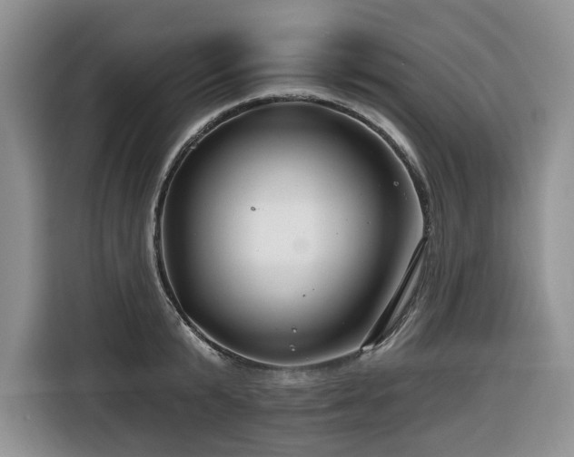 X0000116670799200912141339