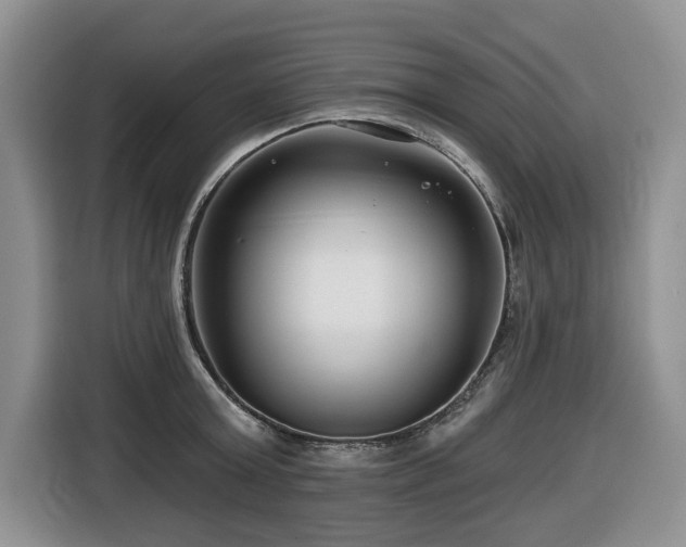 X0000116670803200912141339